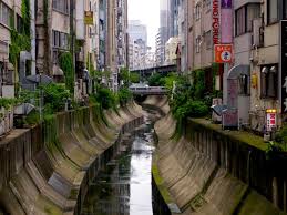 Some more major rivers in japan are the xoian river and the tikanita river. Shibuya River Wikipedia