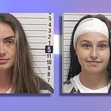 House party brawl turns vicious: Woman bites off ear in alcohol, vape theft  accusation