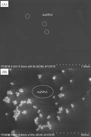 Maybe you would like to learn more about one of these? Highly Sensitive Detection Of Cr Vi By Reduced Graphene Oxide Chemiresistor And 1 4 Dithiothreitol Functionalized Au Nanoparticles Sciencedirect