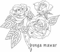 Disamping sketsa bunga mawar tersebut juga kami sajikan gambar bunga mawar yang telah diberi warna, sehingga semakin memudahkan. Gambar Bunga Mawar Mewarnai