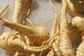 Check spelling or type a new query. The Definitive Ranking Of Vegetables From Worst To Best