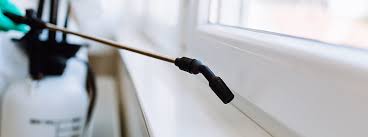 Spiders are common pests found in houses and other places. Diy Tips For Pest Control For Cockroaches Godrej Hit