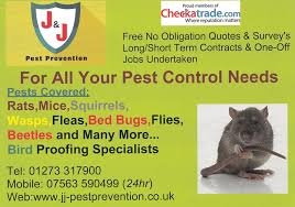 The area is commonly referred to as the 'vale of the white horse' and is crossed by the ridgeway national trail in its far south. J And J Pest Prevention Hamuch