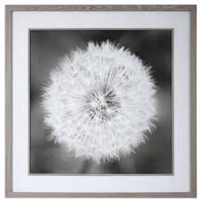 Black And White Framed Prints Black And White Dandelion Square Seedhead Wall Art 54 X 54 34178453 In 2020 Framed Prints White Dandelion Framed Photographs