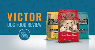 Victor Dog Food Review Recalls Ingredients Analysis In