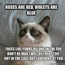 Funny Jokes For Kids Google Search Grumpy Cat Quotes Funny Grumpy Cat Memes Grumpy Cat Humor