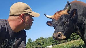 Bored? Watch this before the 7:11...