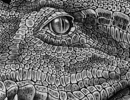 Tim Jeffs Art