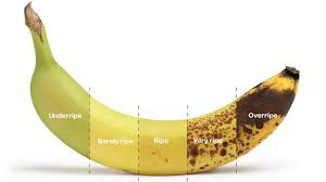 Including a step by step tutorial showing. Welcome To The Ripe Banana Candice Trudel