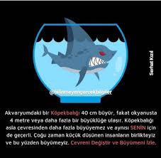 Elif Bilgin Adli Kullanicinin Sozler Panosundaki Pin Guzel Soz Motivasyon Okyanus