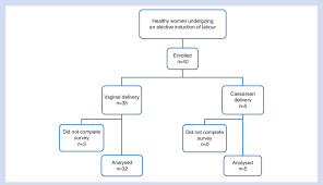 Flowchart Diagram Of The Study Download Scientific Diagram