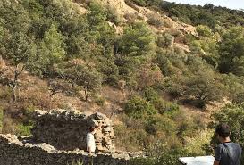 A Grimaud Les Fees Ont Un Vallon Vallon Fee Visite