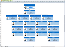 Organizational Structure Flow Charts