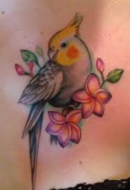 Cockatiel Tatoo Parrot Tattoo Birds Tattoo Tattoos