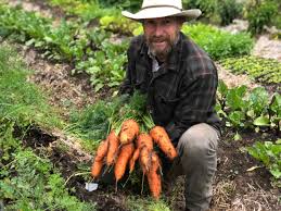 Check spelling or type a new query. How To Plant Carrot Seeds For Maximum Germination