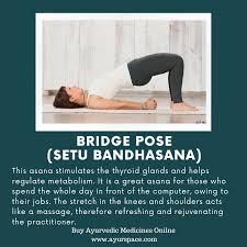 Bridge Pose Facts Bridge Pose Ayurvedic Medicine Poses