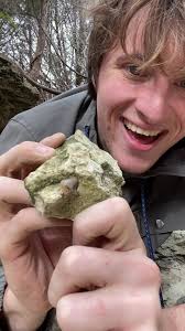 There is so much beauty in this science #paleontology #palaeontology ...