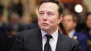 Anger in Germany over Elon Musk's support for far-right AfD party