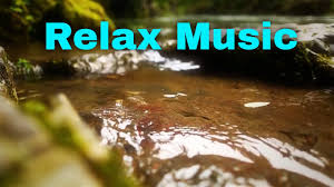 Relaxing piano music, calming music, relaxation music, meditation music musica de lujo, musica ambiental, musica elegante, música de lujo relajante de fondo, negocios. Musica Relaxante E Passaros A Cantar Musica Calma De Piano Por Good Music Relax Youtube