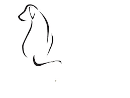 Moldes Adesivos Diversos 33 Jpg 454 340 Line Art Drawings Animal Line Drawings Dog Tattoos