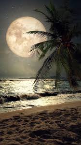 Maybe you would like to learn more about one of these? Moonlight Beach Wallpapers Top Free Moonlight Beach Backgrounds Wallpaperaccess
