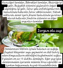 Isirgan Otu Cayi Hazirlamak Icin Onlarca Farkli Tarif Bulabilirsiniz Ancak Bunlar Arasinda En Kolayi Bir Bardak Cay Icin 1 Cay Kasigi Kuru Otlar Diyet Beslenme