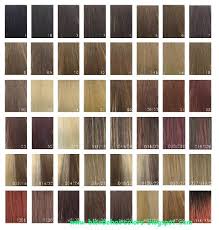 28 Albums Of Xp Hair Colour Chart Explore Thousands Of