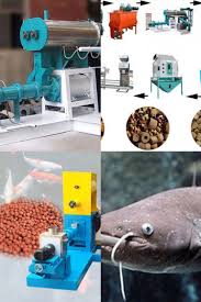 Catfish Farming In Nigeria Is The Cultivation Of One Or More Finned Fish Primarily For Commercial Purposes In This In 2020 Catfish Farming Fish Feed Farming Business