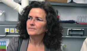 kulturland 0ldenburg kulturland 0ldenburg