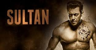 Sultan ali khan ülkesi hindistan'ı olimpiyatlarda gururla temsil etmek için hayaller kurmaktadır ve onunla birlikte aynı kasabada sultan'la birlikte büyüyen kendi çapında hayallere sahip. Oqha8uwt7slpnm
