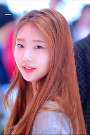 𝐧𝐚𝐜𝐚𝐫𝐚𝐭 .