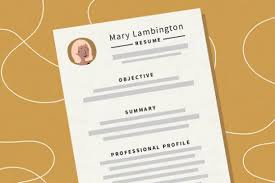 Career Objective La Gi Một Số Mẫu Career Objective Thuyết Phục Resume Summary Examples Resume Writing Resume Objective Examples