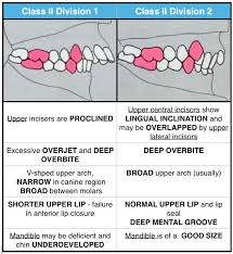 Dentaltown Where The Dental Community Lives Dental Hygiene School Dental Decay Dental Hygenist