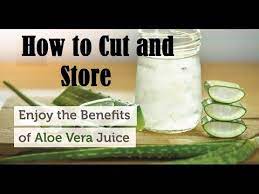Is it ok to eat expired aloe vera? How To Cut And Store Aloe Vera And Benefits Everybody Should Know About This Youtube