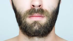 A few quick strokes of the razor each morning will suffice. 11 Beard Facts To Make You Proud Of Your Movember Facial Hair