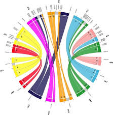 R cookbook, the image of a harpy eagle,. Bol R Graphical Cookbook By Winston Chang