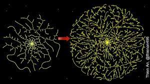 Add a bio, trivia, and more. Cliff Pickover On Twitter Mathematical Fungi Beyond Imagination This Visualization Is By Thien An Thienan496 It Shows The Behavior Of The Famous 3n 1 Collatz Sequence The Simple Number Sequence Offers Many Challenges