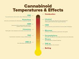 1 Vaporizer Quick Reference Chart Reveals What Temperature