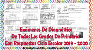 Catálogo de libros de educación básica. Examenes De Diagnostico De Todos Los Grados De Primaria Con Respuestas Ciclo Escolar 2019 2020 Material Educativo