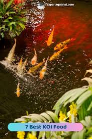 7 Best Koi Food For Growth Colors Guide Reviews Koi Goldfish Food Ponds For Small Gardens
