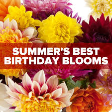 Maybe you would like to learn more about one of these? Stadium Flowers Home Facebook