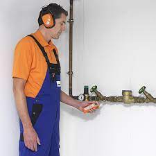 Incluso los sonidos apenas audibles son la sewerin digital radio (sdr) ofrece una transmisión de sonido de la misma calidad que la versión con cable. Stethophon 04 Sewerin