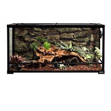 Top 9 Best Corn Snake Enclosures Reviews In 2020 Reptile Terrarium Terrarium Tank Terrarium