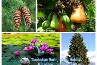 Kacang Tanah Berbiji Terbuka Atau Tertutup