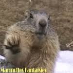 La marmotte phil sort de son terrier à l'occasion de groundhog day, en pennsylvanie. Marmottes Fantaisies Gifs Animes Sur La Marmotte Page1