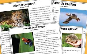 Animal Articles In 2020 Animal Articles Wild Cat Species Cat Species