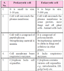 Check out the difference between prokaryotic and. Cell The Unit Of Life Biology Notes For Neet Aiims Jipmer