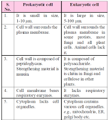 Cell The Unit Of Life Biology Notes For Neet Aiims Jipmer