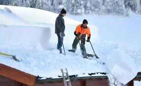 Los alemanes observan con envidia. Fuertes Nevadas Siembran El Caos En El Sur De Alemania Y Austria El Correo