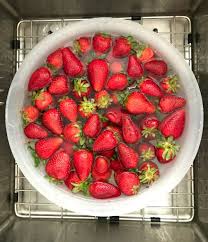 Despite emerging evidence that vaccinated people are less likely to transmit the virus, the mass inability to validate vaccinations may be enough for some to keep their masks on in crowded or indoor spaces for a while. How To Keep Strawberries Fresh With One Easy To Do Tip